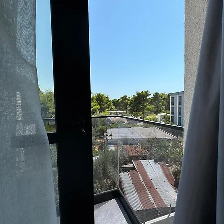 Twins *